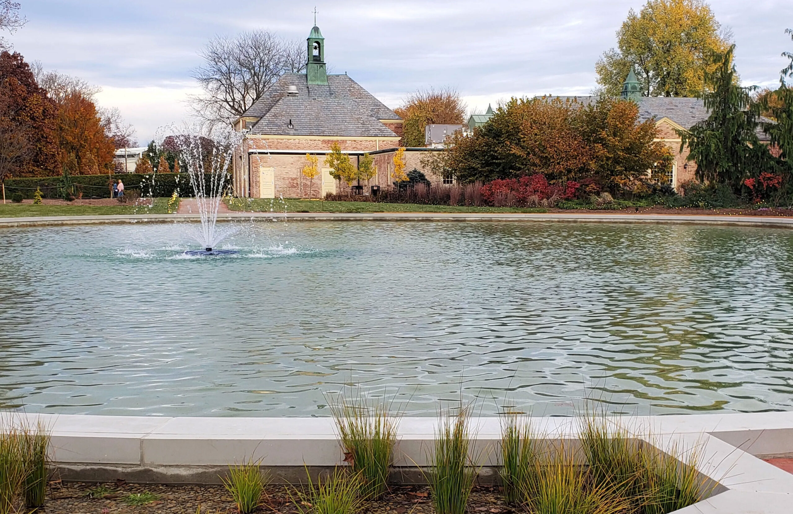 Kingwood Duck Pond