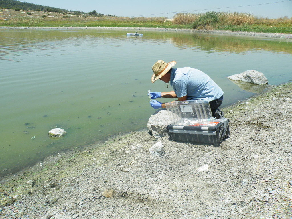 Israel Water Tech Faces Algal Bloom Challenge